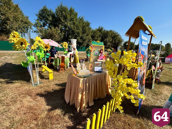 На саратовском фестивале подсолнухов раздавали угощения и сувениры