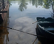 Саратовские ветеринары добирались до пастбищ на лодках